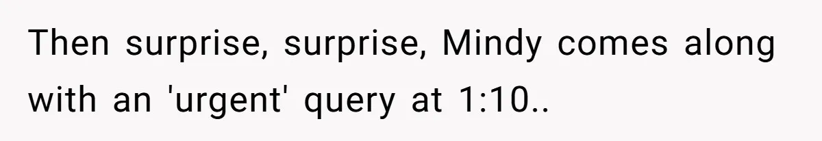 Then surprise, surprise, Mindy comes along with an 'urgent' query at 1:10..