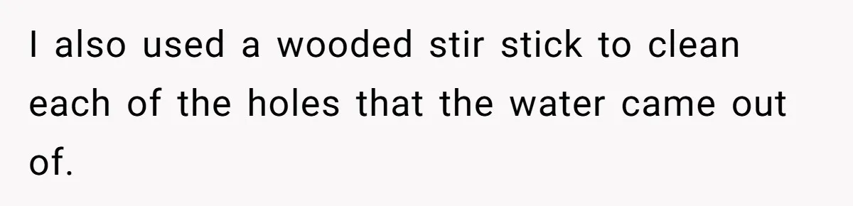 I also used a wooded stir stick to clean each of the holes that the water came out of.