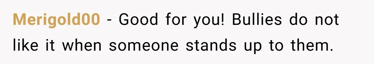 Merigold00 − Good for you! Bullies do not like it when someone stands up to them.