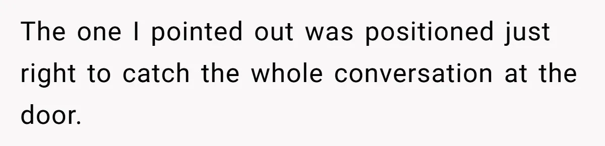 The one I pointed out was positioned just right to catch the whole conversation at the door.
