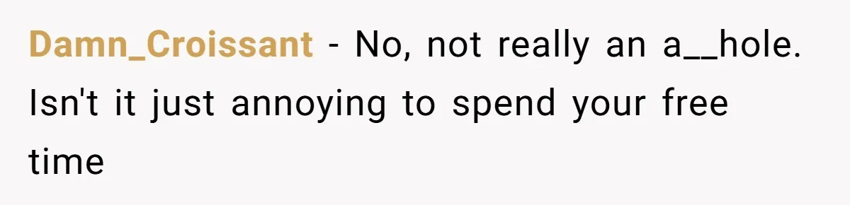 Damn_Croissant − No, not really an a__hole. Isn't it just annoying to spend your free time