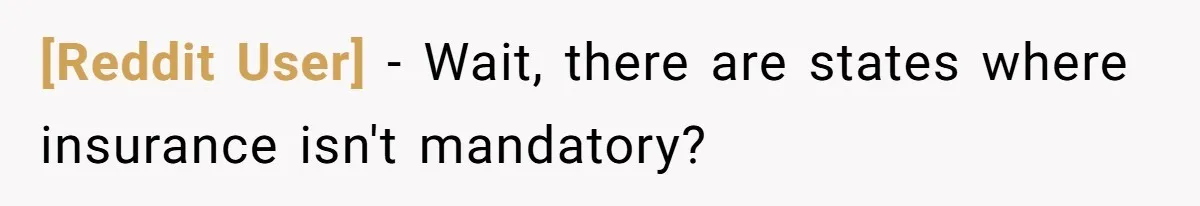 [Reddit User] − Wait, there are states where insurance isn't mandatory?