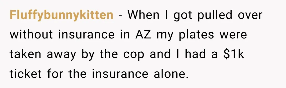 Fluffybunnykitten − When I got pulled over without insurance in AZ my plates were taken away by the cop and I had a $1k ticket for the insurance alone.