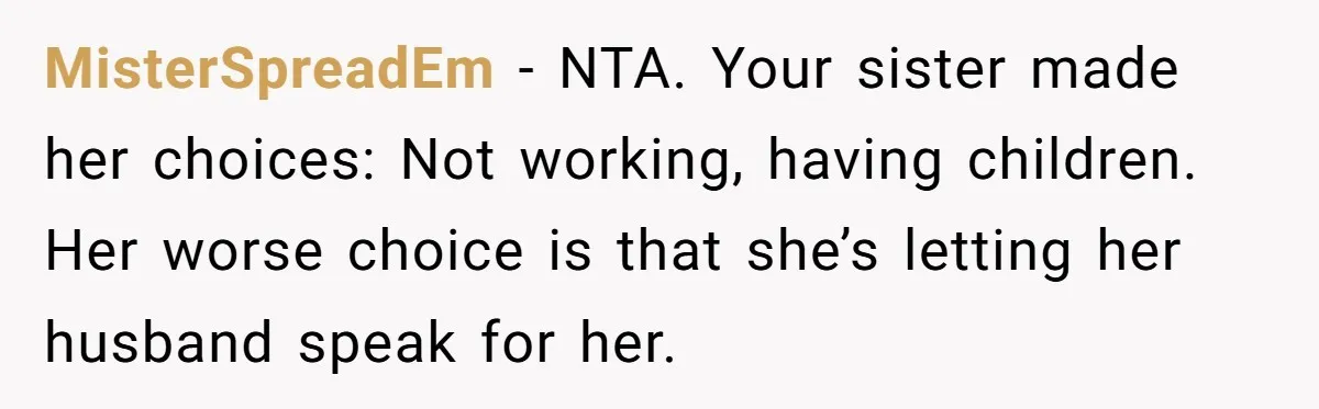 MisterSpreadEm − NTA. Your sister made her choices: Not working, having children. Her worse choice is that she’s letting her husband speak for her.