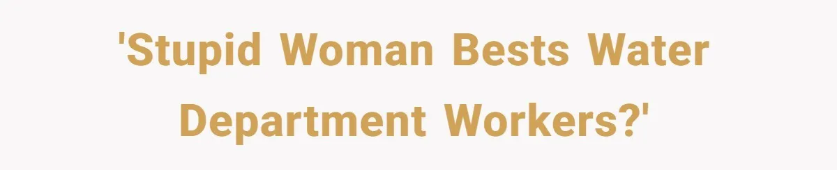 'Stupid woman bests water department workers?'