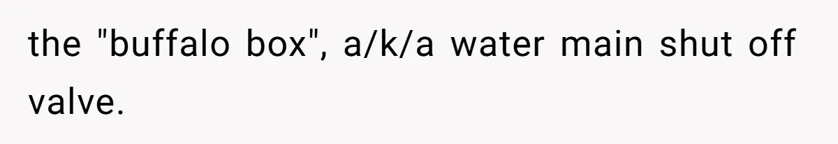 the "buffalo box", a/k/a water main shut off valve.
