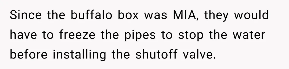 Since the buffalo box was MIA, they would have to freeze the pipes to stop the water before installing the shutoff valve.