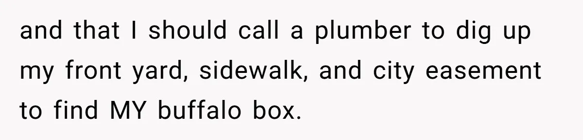 and that I should call a plumber to dig up my front yard, sidewalk, and city easement to find MY buffalo box.