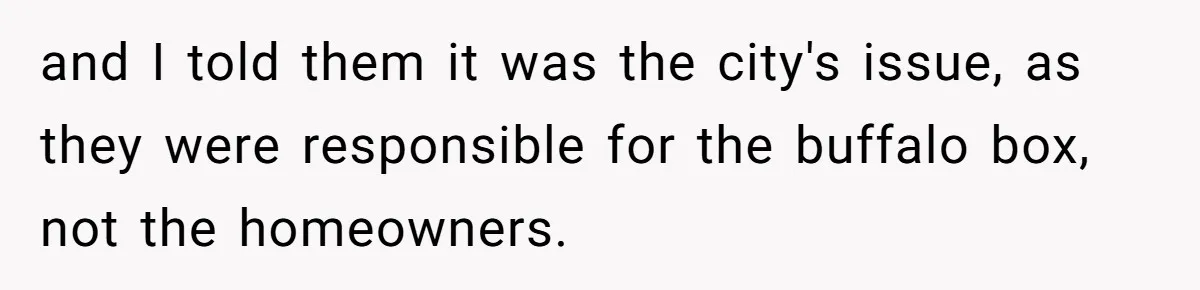 and I told them it was the city's issue, as they were responsible for the buffalo box, not the homeowners.