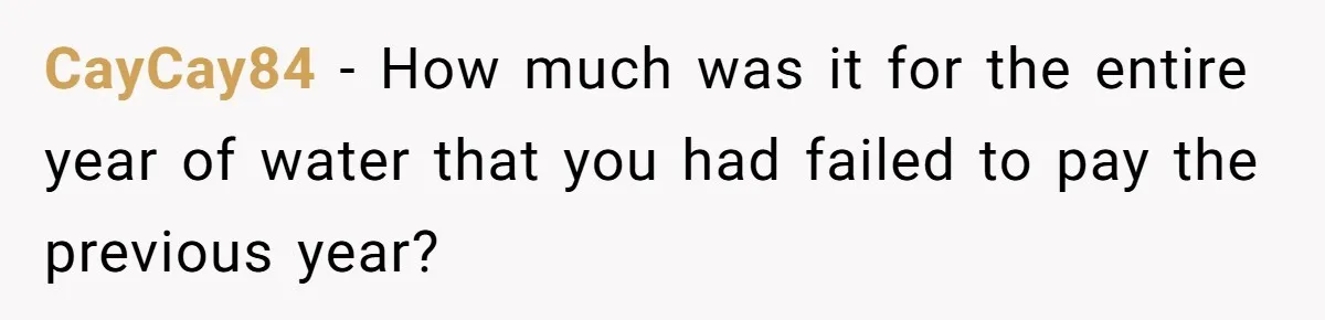 CayCay84 − How much was it for the entire year of water that you had failed to pay the previous year?