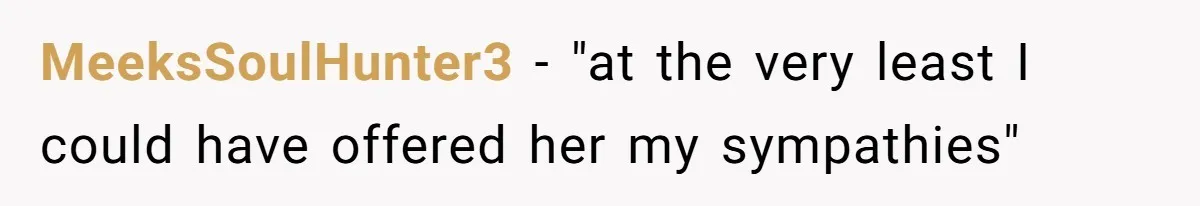 MeeksSoulHunter3 − "at the very least I could have offered her my sympathies"
