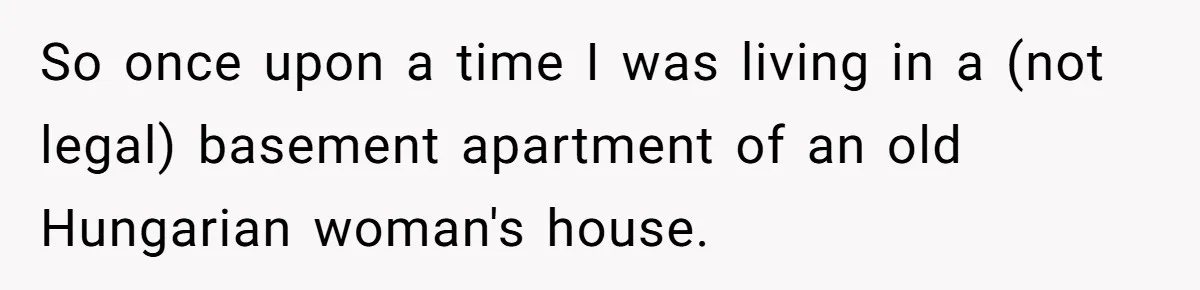 Tenant Evicted Without Cause, Leaves Landlord With $400 Trash Bill In Epic Revenge So once upon a time I was living in a (not legal) basement apartment of an old Hungarian woman's house.