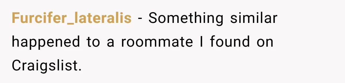 Tenant Evicted Without Cause, Leaves Landlord With $400 Trash Bill In Epic Revenge Furcifer_lateralis − Something similar happened to a roommate I found on Craigslist.