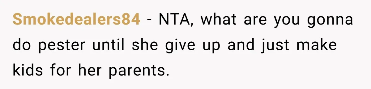 Smokedealers84 − NTA, what are you gonna do pester until she give up and just make kids for her parents.