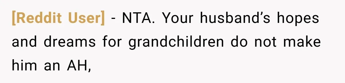 [Reddit User] − NTA. Your husband’s hopes and dreams for grandchildren do not make him an AH,