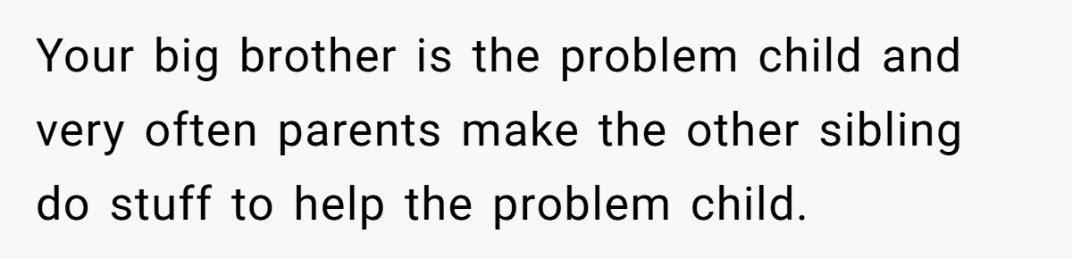 She Turned Her Neighbor’s Parking Nightmare Into a Feathered Revenge Saga Your big brother is the problem child and very often parents make the other sibling do stuff to help the problem child.