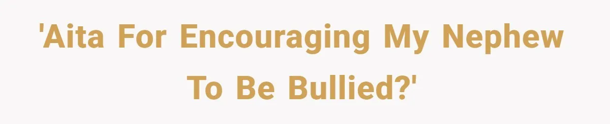 'AITA for encouraging my nephew to be bullied?'