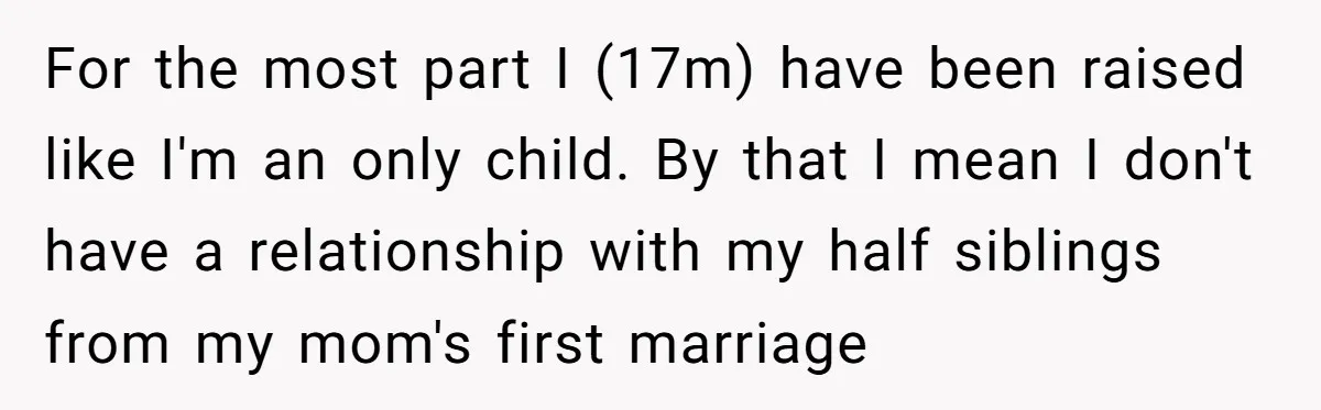 He Pretends He’s an Only Child, and No One Could Blame Him For the most part I (17m) have been raised like I'm an only child. By that I mean I don't have a relationship with my half siblings from my mom's...