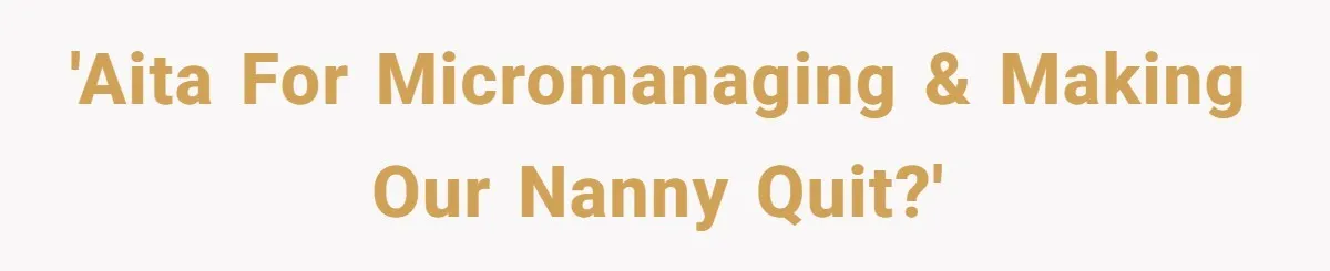 Nanny Resigns After Mom Criticizes Her For Leaving A Single Blueberry, Is She Wrong? 'AITA for micromanaging & making our nanny quit?'