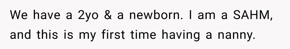 Nanny Resigns After Mom Criticizes Her For Leaving A Single Blueberry, Is She Wrong? We have a 2yo & a newborn. I am a SAHM, and this is my first time having a nanny.