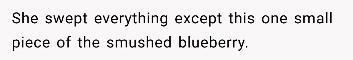 Nanny Resigns After Mom Criticizes Her For Leaving A Single Blueberry, Is She Wrong? She swept everything except this one small piece of the smushed blueberry.