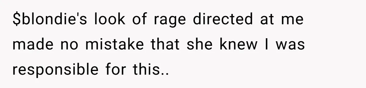 $blondie's look of rage directed at me made no mistake that she knew I was responsible for this..