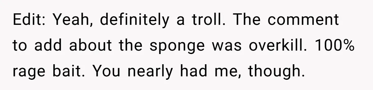 Nanny Resigns After Mom Criticizes Her For Leaving A Single Blueberry, Is She Wrong? Edit: Yeah, definitely a troll. The comment to add about the sponge was overkill. 100% rage bait. You nearly had me, though.