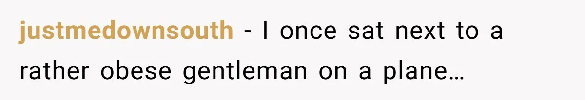 justmedownsouth − I once sat next to a rather obese gentleman on a plane…
