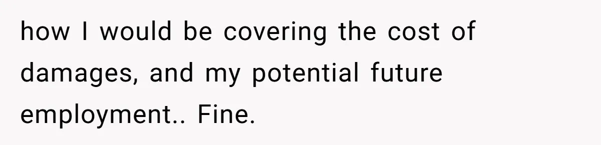 how I would be covering the cost of damages, and my potential future employment.. Fine.
