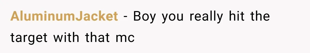 AluminumJacket − Boy you really hit the target with that mc