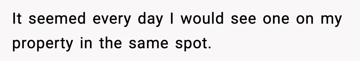 It seemed every day I would see one on my property in the same spot.