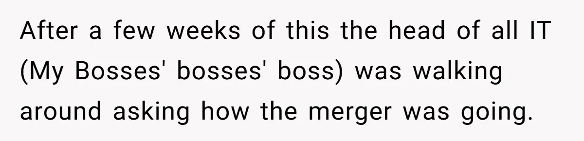 After a few weeks of this the head of all IT (My Bosses' bosses' boss) was walking around asking how the merger was going.