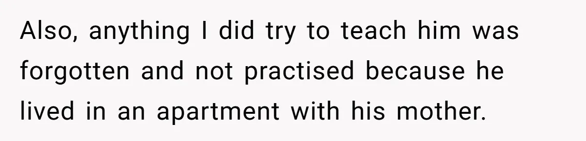 Also, anything I did try to teach him was forgotten and not practised because he lived in an apartment with his mother.