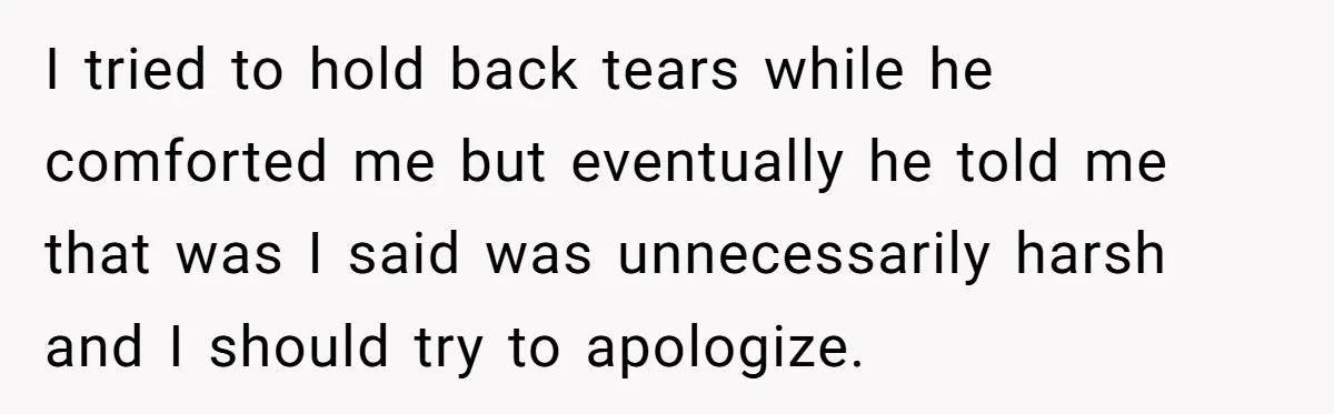 I tried to hold back tears while he comforted me but eventually he told me that was I said was unnecessarily harsh and I should try to apologize.