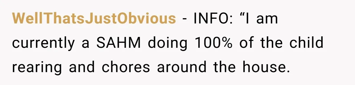WellThatsJustObvious − INFO: “I am currently a SAHM doing 100% of the child rearing and chores around the house.