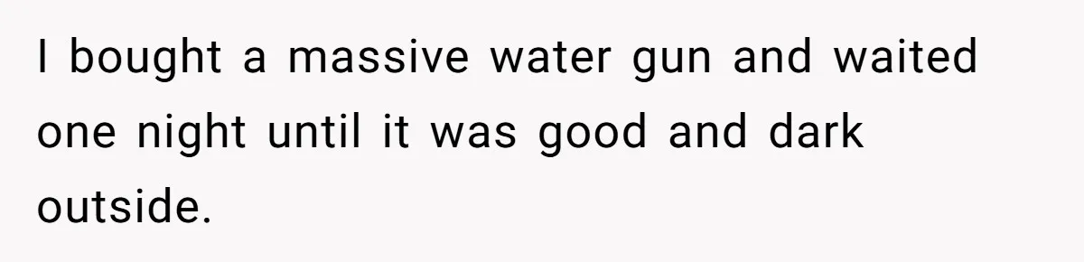 I bought a massive water gun and waited one night until it was good and dark outside.