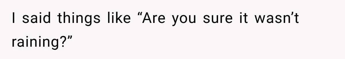 I said things like “Are you sure it wasn’t raining?”