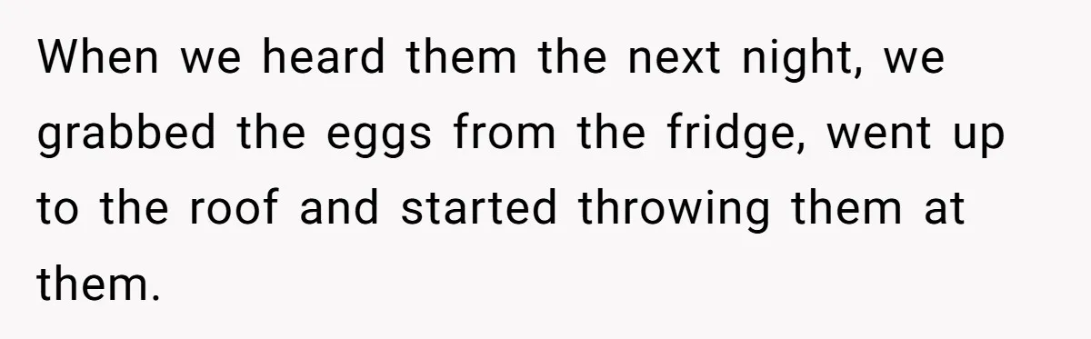 When we heard them the next night, we grabbed the eggs from the fridge, went up to the roof and started throwing them at them.