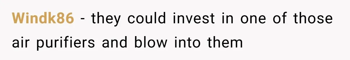 Windk86 − they could invest in one of those air purifiers and blow into them