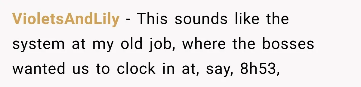 VioletsAndLily − This sounds like the system at my old job, where the bosses wanted us to clock in at, say, 8h53,