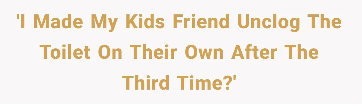 'I made my kids friend unclog the toilet on their own after the THIRD TIME?'