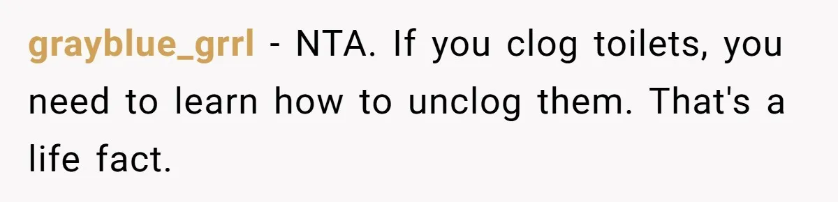 grayblue_grrl − NTA. If you clog toilets, you need to learn how to unclog them. That's a life fact.