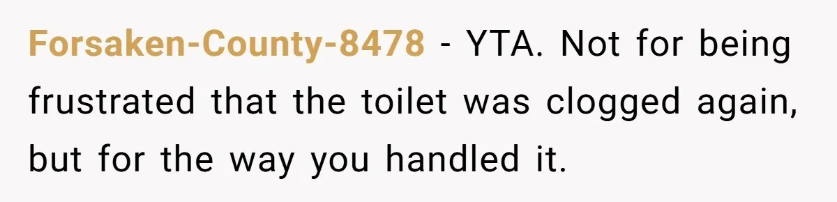 Forsaken-County-8478 − YTA. Not for being frustrated that the toilet was clogged again, but for the way you handled it.