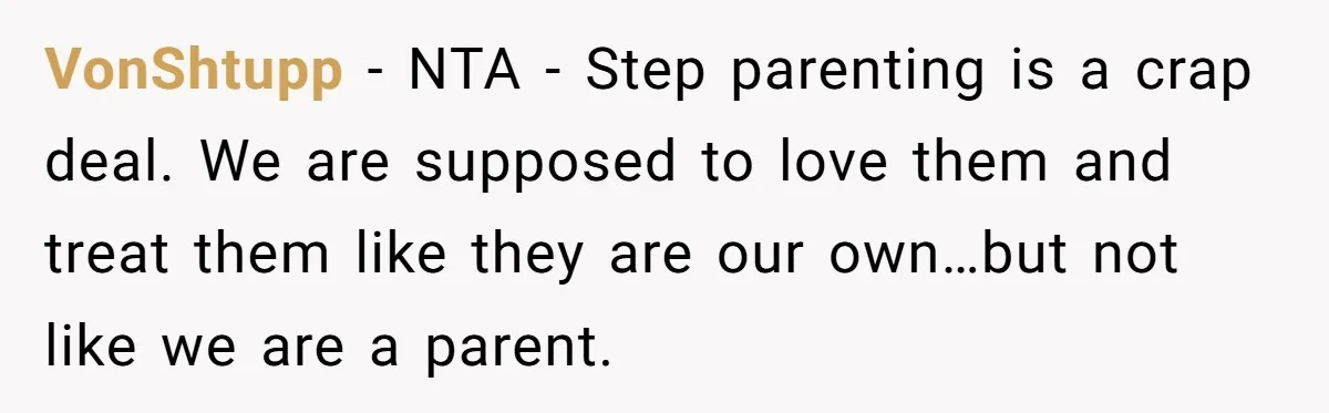 VonShtupp − NTA - Step parenting is a crap deal. We are supposed to love them and treat them like they are our own…but not like we are a parent.