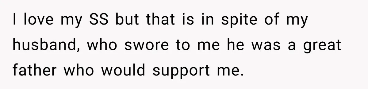 I love my SS but that is in spite of my husband, who swore to me he was a great father who would support me.