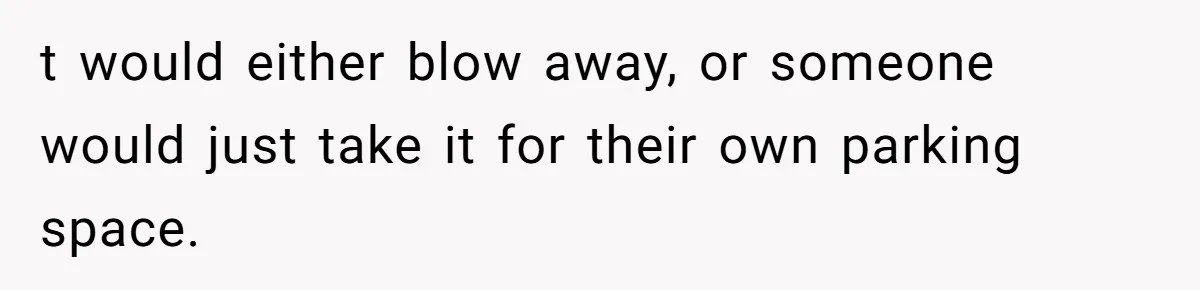 t would either blow away, or someone would just take it for their own parking space.