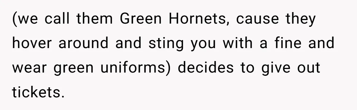 (we call them Green Hornets, cause they hover around and sting you with a fine and wear green uniforms) decides to give out tickets.