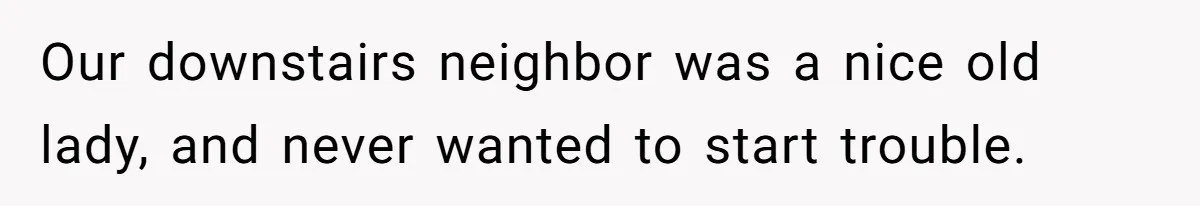 Our downstairs neighbor was a nice old lady, and never wanted to start trouble.
