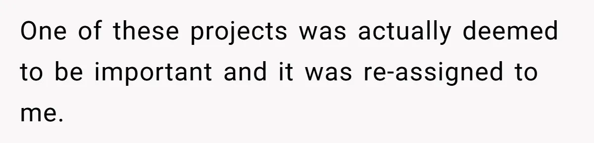 One of these projects was actually deemed to be important and it was re-assigned to me.