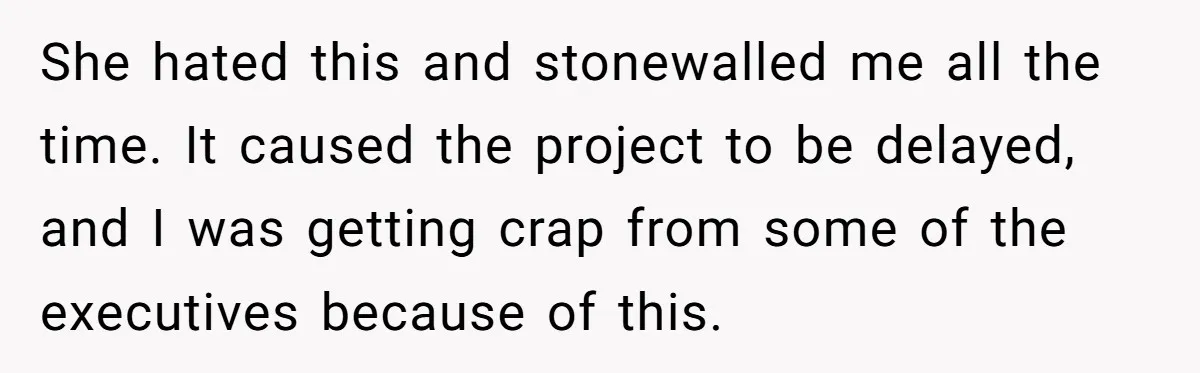 She hated this and stonewalled me all the time. It caused the project to be delayed, and I was getting crap from some of the executives because of this.